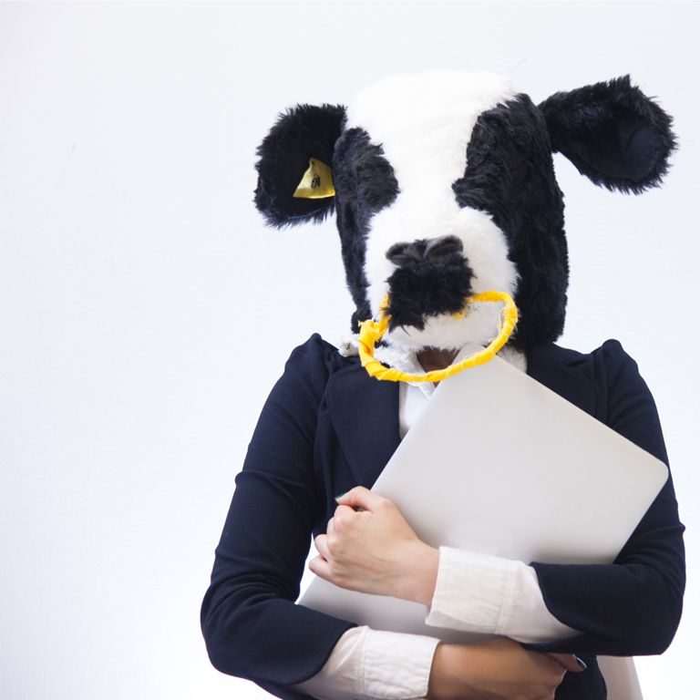 ベリーモプラス 奥みんす